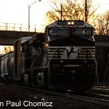 Silhoutted-Stallions.