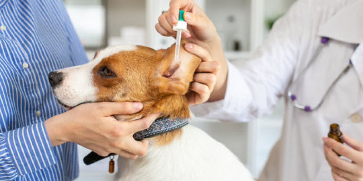 Hiperadrenocorticismo em Pets: Entenda o Teste e Seu Significado para a Saúde do Seu Melhor Amigo