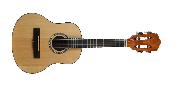 CAVACO AC&Uacute;STICO VOGGA VCC620