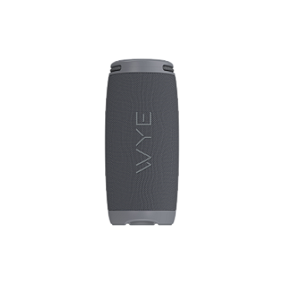 20W ProSound Wireless Speaker