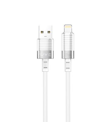 DC59 Fast Charging & Data Cable