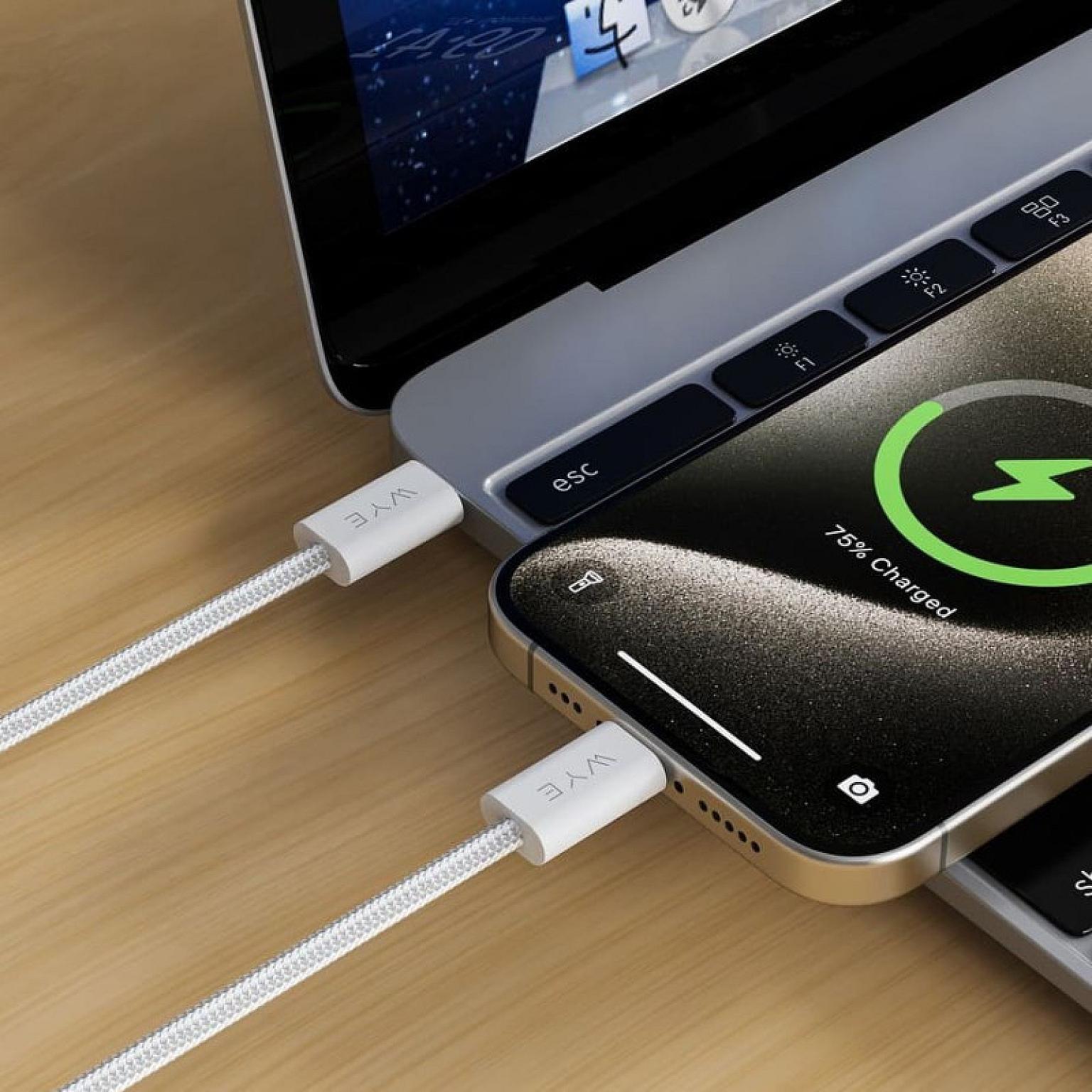 WYE DC64 60W USB-C to USB-C Fast Charging & Data Cable 1m view 2